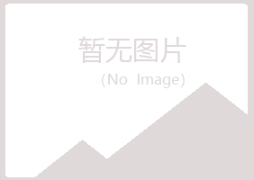 白银平川雪旋工程有限公司